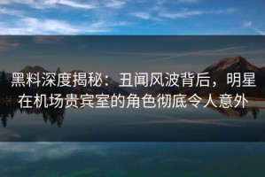 黑料深度揭秘：丑闻风波背后，明星在机场贵宾室的角色彻底令人意外