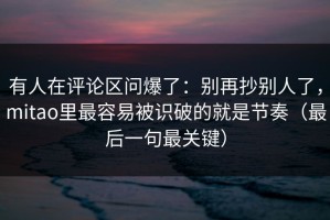 有人在评论区问爆了：别再抄别人了，mitao里最容易被识破的就是节奏（最后一句最关键）