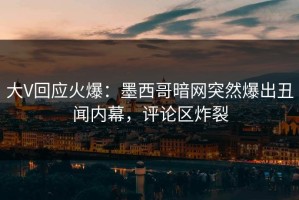 大V回应火爆：墨西哥暗网突然爆出丑闻内幕，评论区炸裂