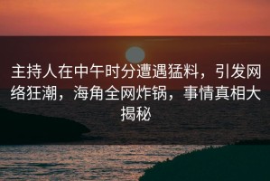 主持人在中午时分遭遇猛料，引发网络狂潮，海角全网炸锅，事情真相大揭秘