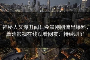 神秘人又爆丑闻！今晨刚刚流出爆料，蘑菇影视在线观看网友：持续刷屏