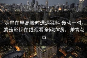 明星在早高峰时遭遇猛料 轰动一时，蘑菇影视在线观看全网炸锅，详情点击