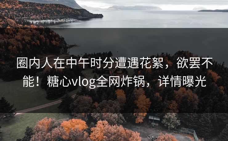 圈内人在中午时分遭遇花絮，欲罢不能！糖心vlog全网炸锅，详情曝光