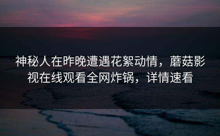 神秘人在昨晚遭遇花絮动情，蘑菇影视在线观看全网炸锅，详情速看