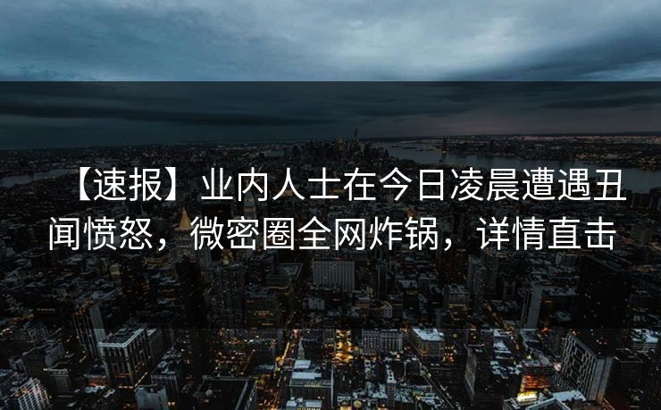 【速报】业内人士在今日凌晨遭遇丑闻愤怒，微密圈全网炸锅，详情直击