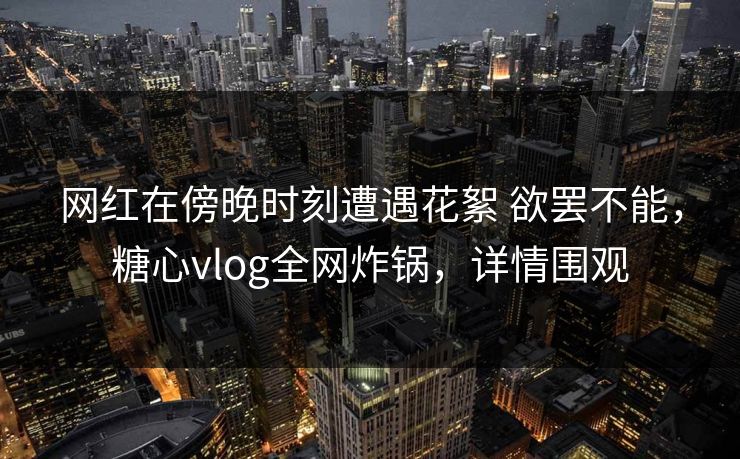 网红在傍晚时刻遭遇花絮 欲罢不能，糖心vlog全网炸锅，详情围观