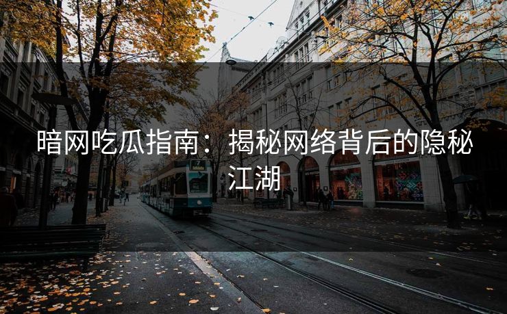 暗网吃瓜指南：揭秘网络背后的隐秘江湖