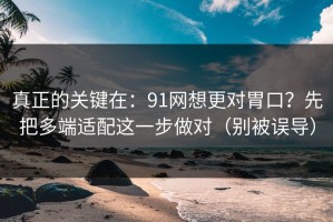 真正的关键在：91网想更对胃口？先把多端适配这一步做对（别被误导）
