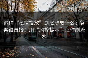这种“私信投放”到底想要什么？答案很直接：用“风控提示”让你刷流水