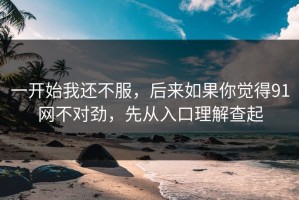 一开始我还不服，后来如果你觉得91网不对劲，先从入口理解查起