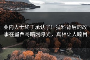 业内人士终于承认了！猛料背后的故事在墨西哥暗网曝光，真相让人瞠目
