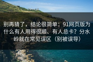 别再猜了，结论很简单：91网页版为什么有人用得很顺、有人总卡？分水岭就在常见误区（别被误导）